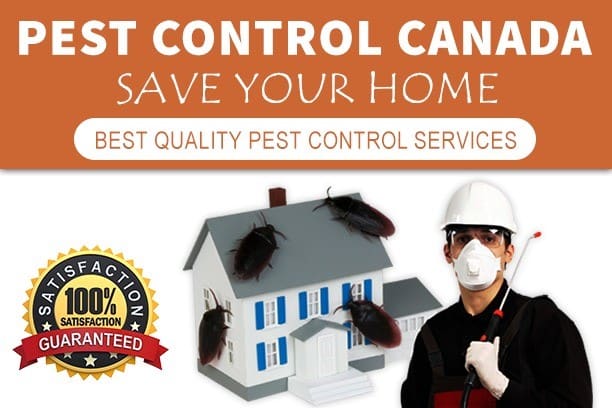 Pest Control Woodbridge Canada - Business Photo