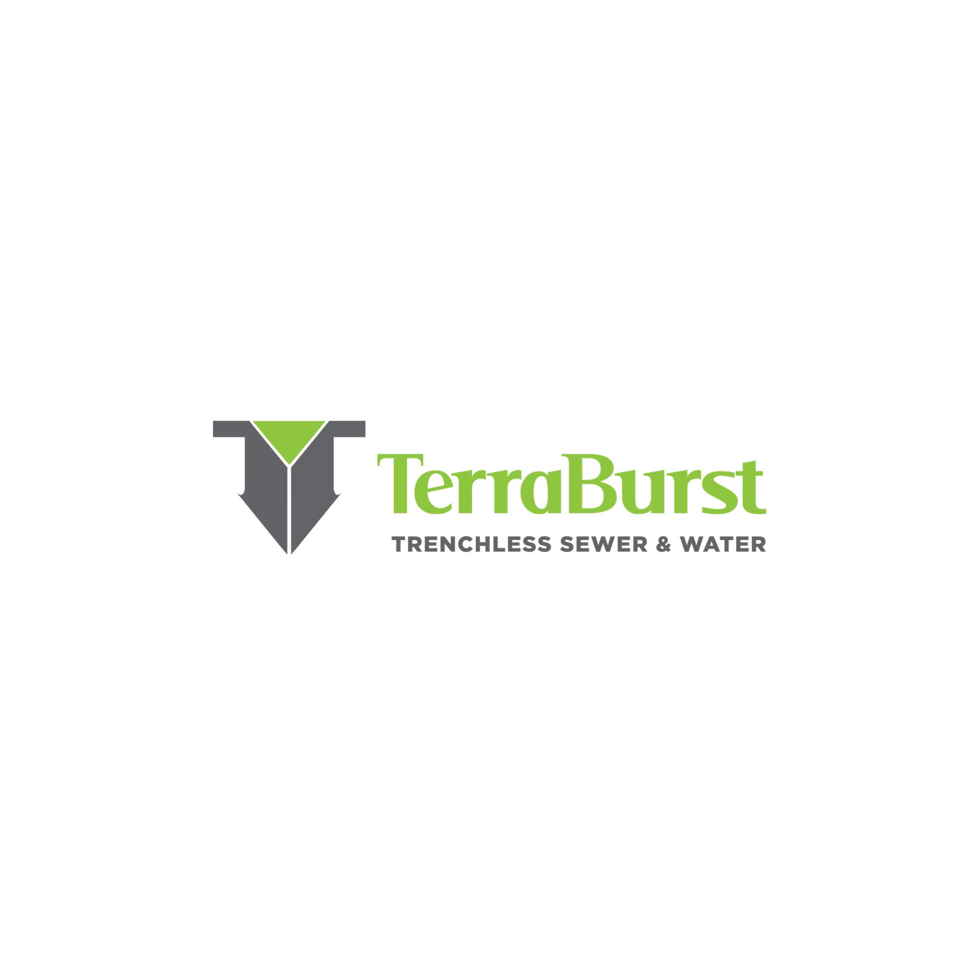 TerraBurst - Logo
