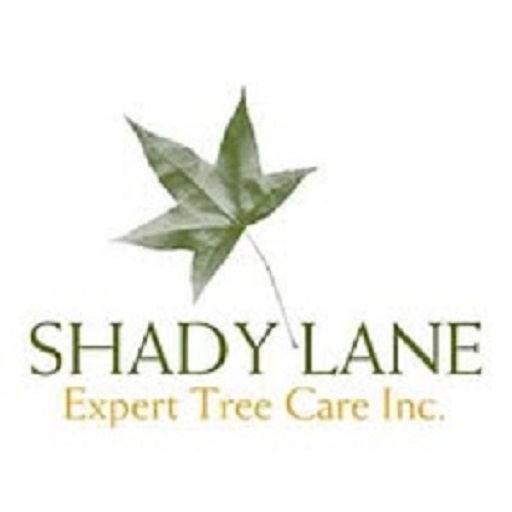 Shady Lane Expert Tree Care - Logo