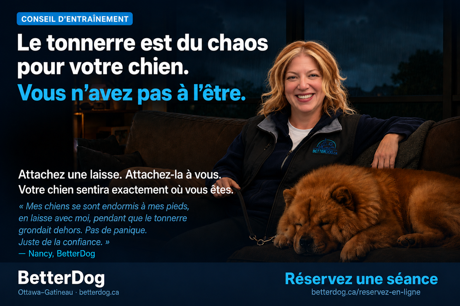 BetterDog - Business Photo